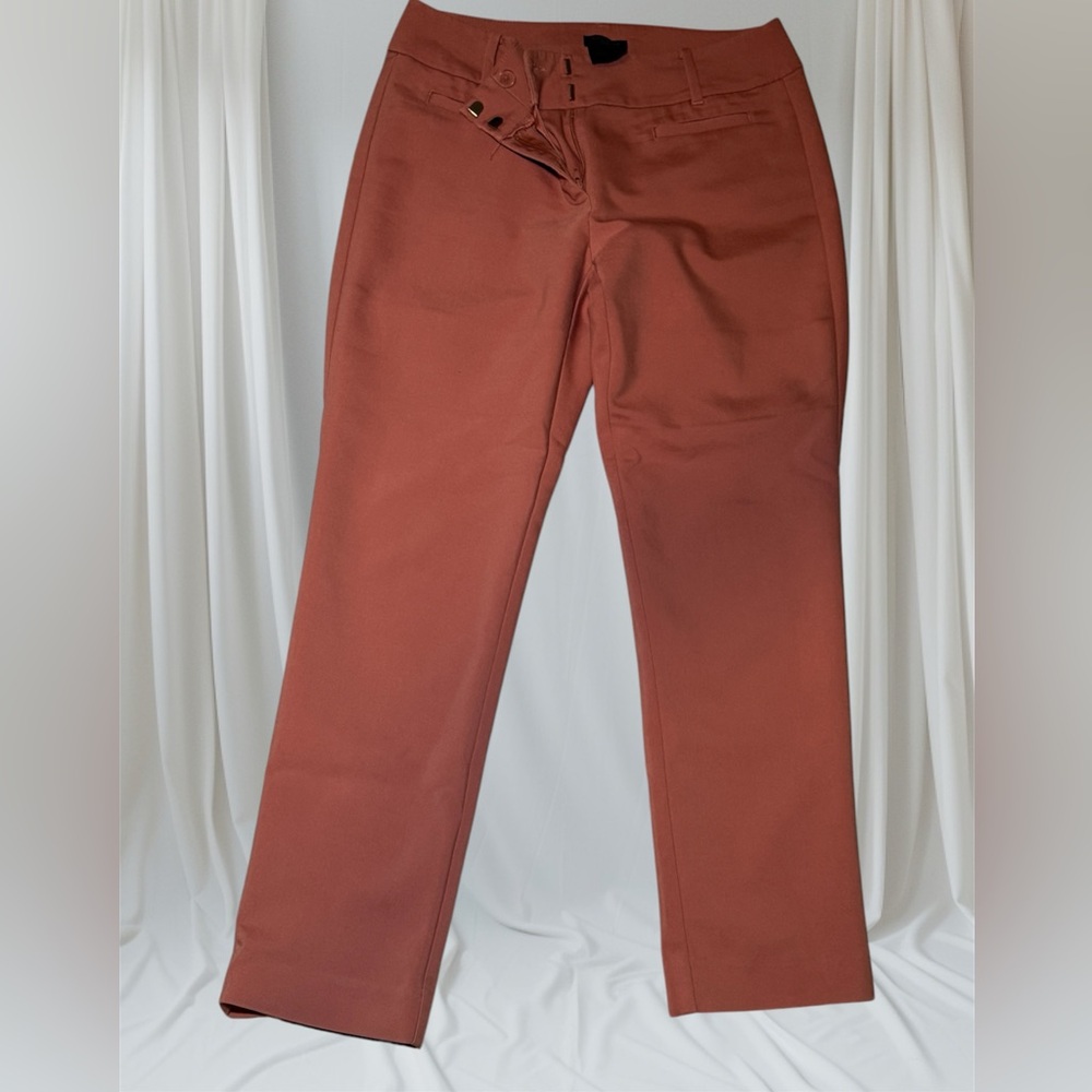 Pink Ann Taylor Ankle length pants.